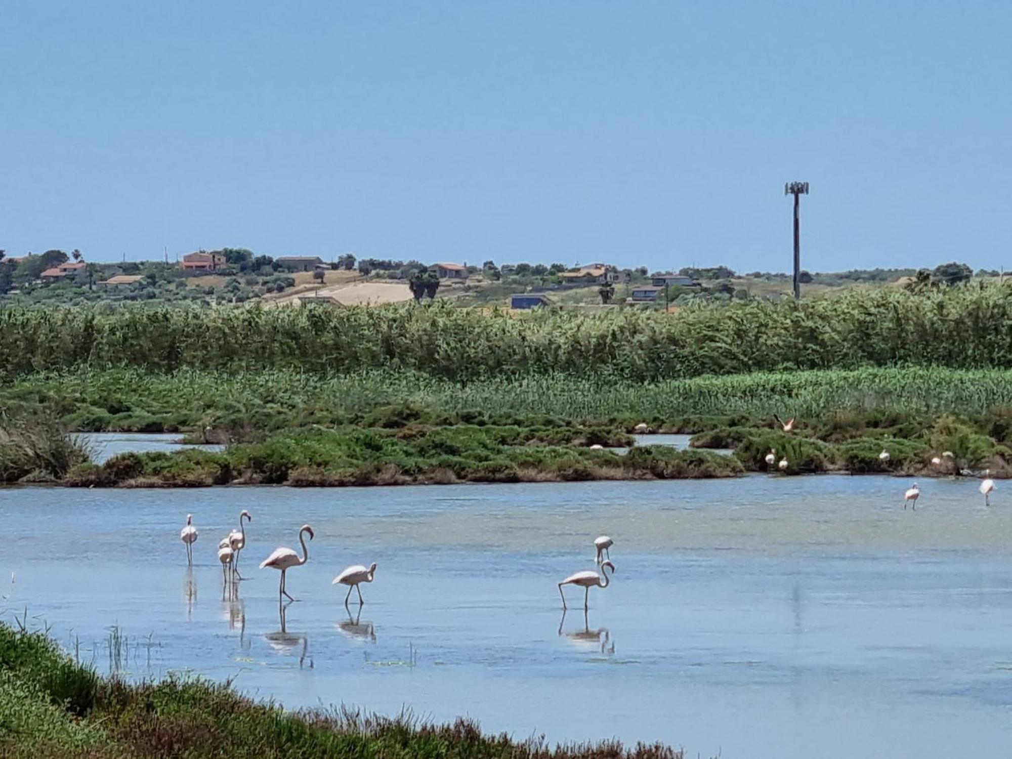 -Dimartino Home- Posizione Centrale 9 Min Da Marzamemi San Lorenzo Portopalo Di Capo Passero 帕基诺 外观 照片